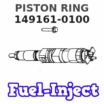 149161-0100 PISTON RING 