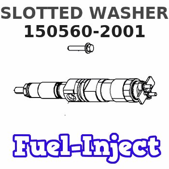 150560-2001 SLOTTED WASHER 