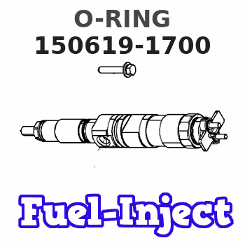 150619-1700 O-RING 