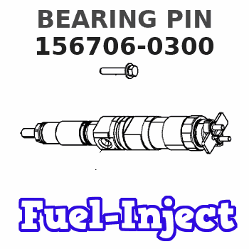 156706-0300 BEARING PIN 