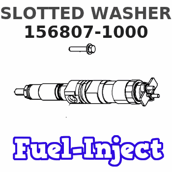 156807-1000 SLOTTED WASHER 