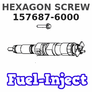 157687-6000 HEXAGON SCREW 