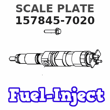 157845-7020 SCALE PLATE 