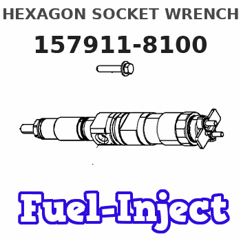 157911-8100 HEXAGON SOCKET WRENCH 