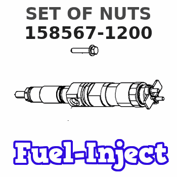 158567-1200 SET OF NUTS 