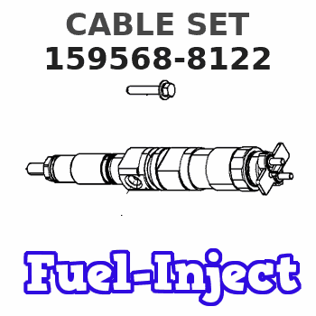 159568-8122 CABLE SET 