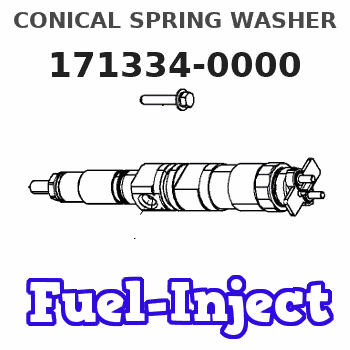 171334-0000 CONICAL SPRING WASHER 