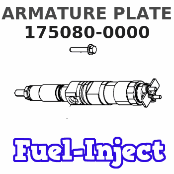 175080-0000 ARMATURE PLATE 