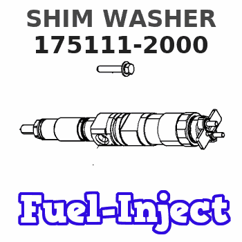 175111-2000 SHIM WASHER 