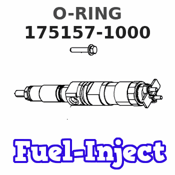 175157-1000 O-RING 