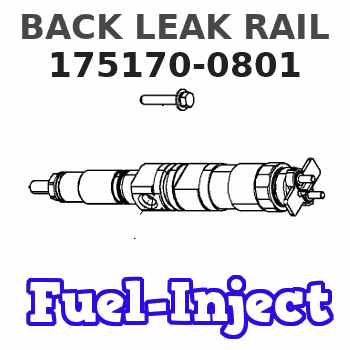 175170-0801 BACK LEAK RAIL 