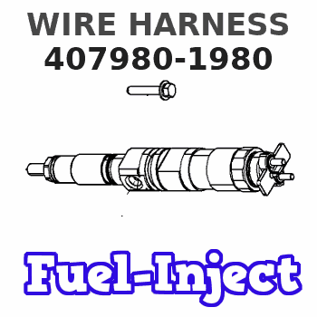407980-1980 WIRE HARNESS 