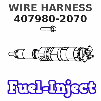 407980-2070 WIRE HARNESS 