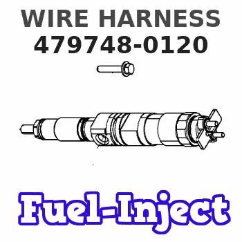 479748-0120 WIRE HARNESS 