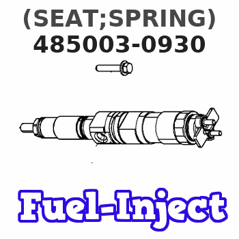 485003-0930 (SEAT;SPRING) 