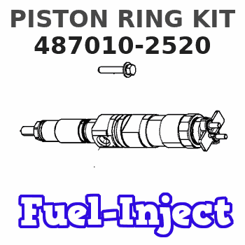 487010-2520 PISTON RING KIT 