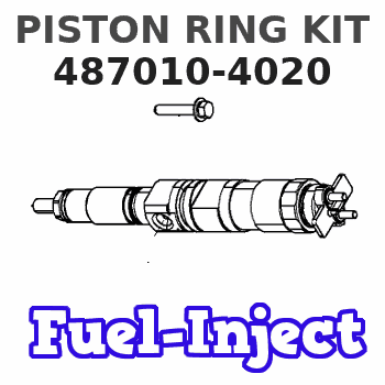 487010-4020 PISTON RING KIT 
