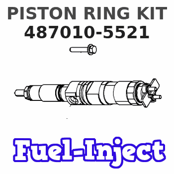 487010-5521 PISTON RING KIT 