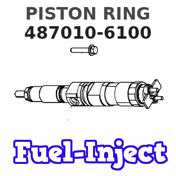 487010-6100 PISTON RING 