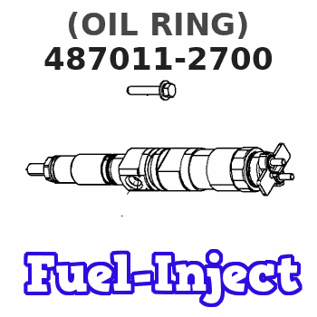 487011-2700 (OIL RING) 