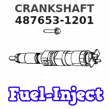 487653-1201 CRANKSHAFT 