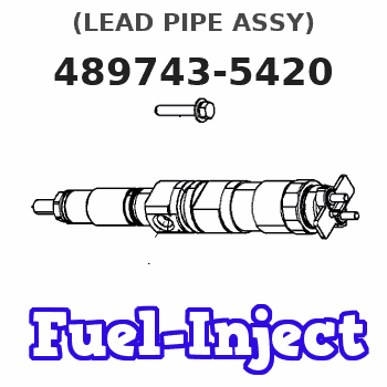 489743-5420 (LEAD PIPE ASSY) 