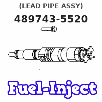 489743-5520 (LEAD PIPE ASSY) 