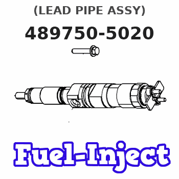 489750-5020 (LEAD PIPE ASSY) 