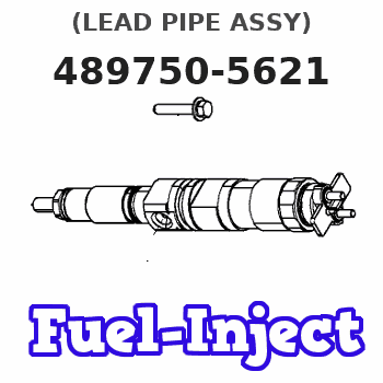 489750-5621 (LEAD PIPE ASSY) 