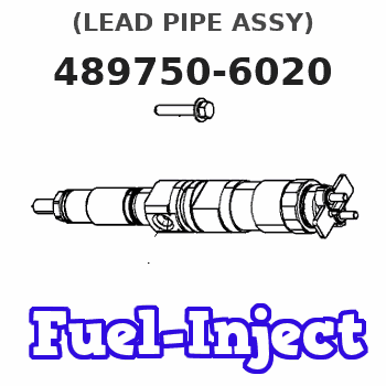 489750-6020 (LEAD PIPE ASSY) 