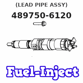 489750-6120 (LEAD PIPE ASSY) 
