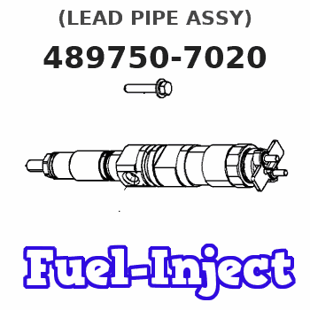 489750-7020 (LEAD PIPE ASSY) 