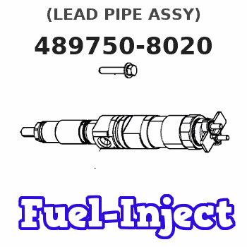 489750-8020 (LEAD PIPE ASSY) 
