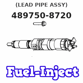 489750-8720 (LEAD PIPE ASSY) 