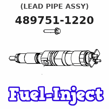 489751-1220 (LEAD PIPE ASSY) 